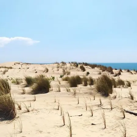 Mitoyenne Cozy A La Palmyre Avec Wifi Et Parking - 4 Personnes - Fr-1-705-53 Holiday home *