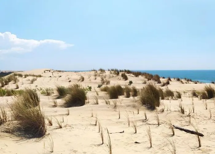 Mitoyenne Cozy A La Palmyre Avec Wifi Et Parking - 4 Personnes - Fr-1-705-53 度假居